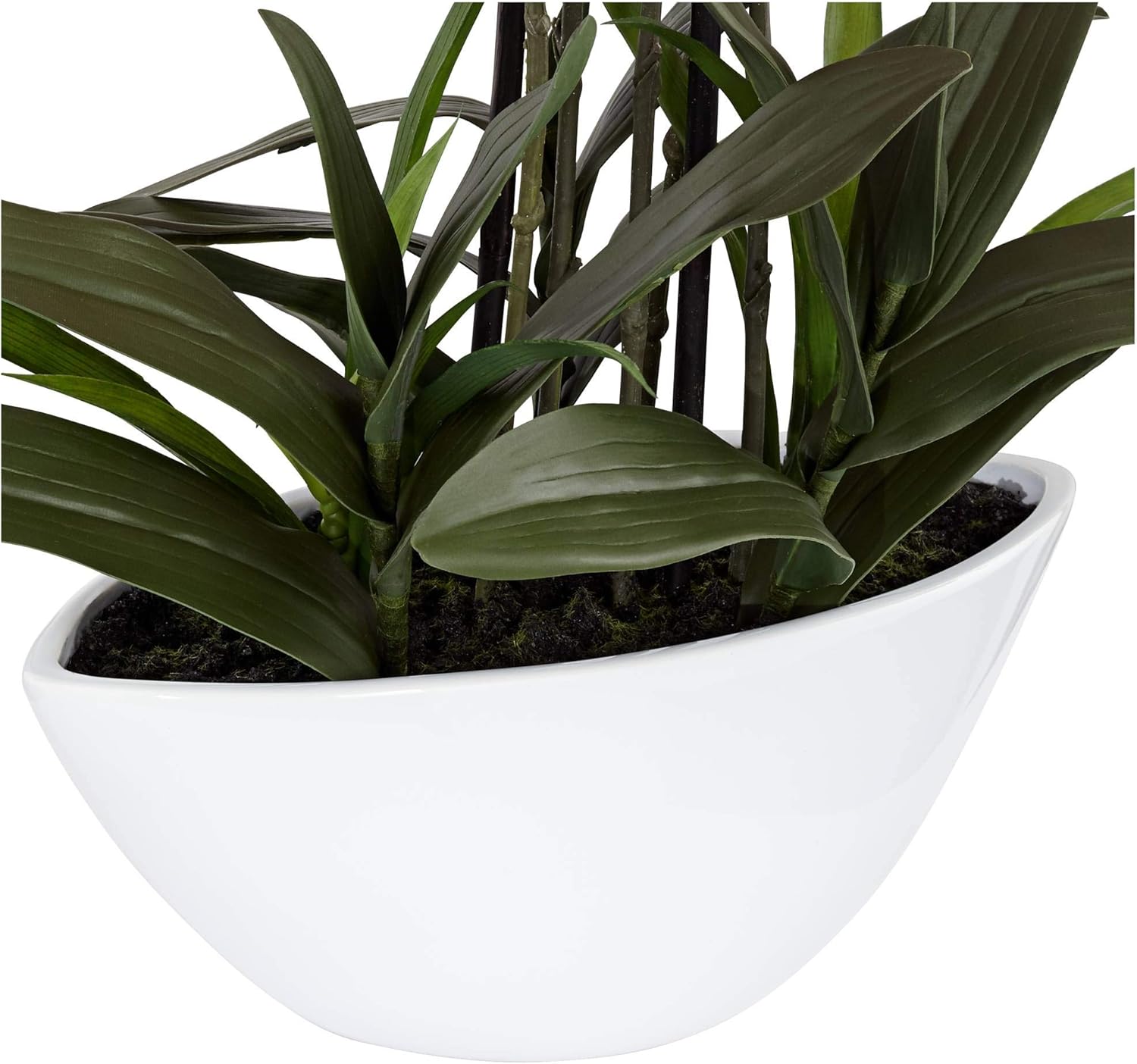 Dahlia Studios Potted Silk Faux Artificial Flowers Arrangement Realistic Pink Orchid in White Ceramic Oval Pot for Home Decoration Living Room Office Bedroom Bathroom Kitchen Dining 28" High : Home & Kitchen