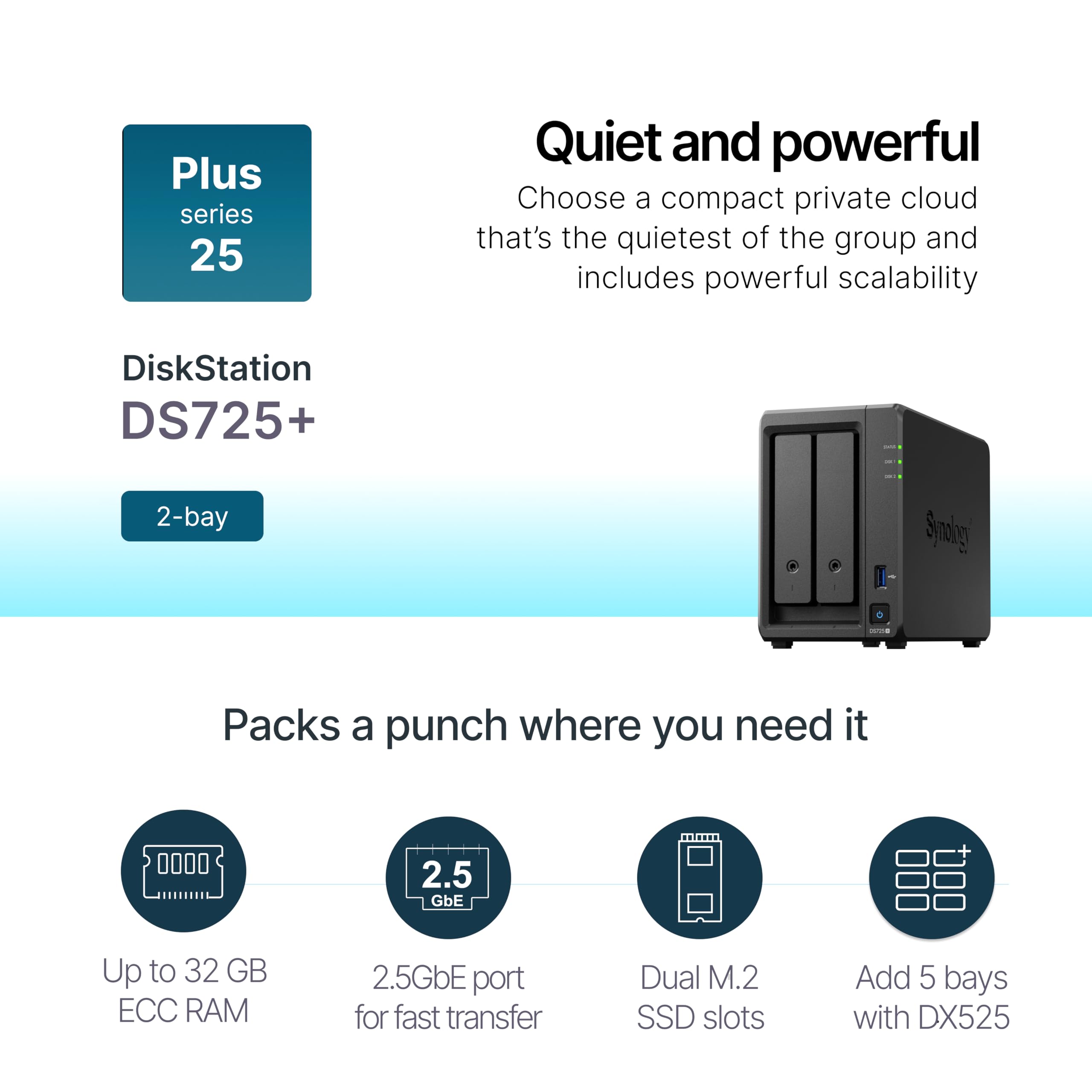 Synology Kit NAS DS725+ a 2 alloggiamenti, CPU Ryzen, memoria da 4 GB, Utenti standard 2.5GbE-NIC, Rivenditore autorizzato nazionale, Field Lake, Supporto telefonico, DiskStation