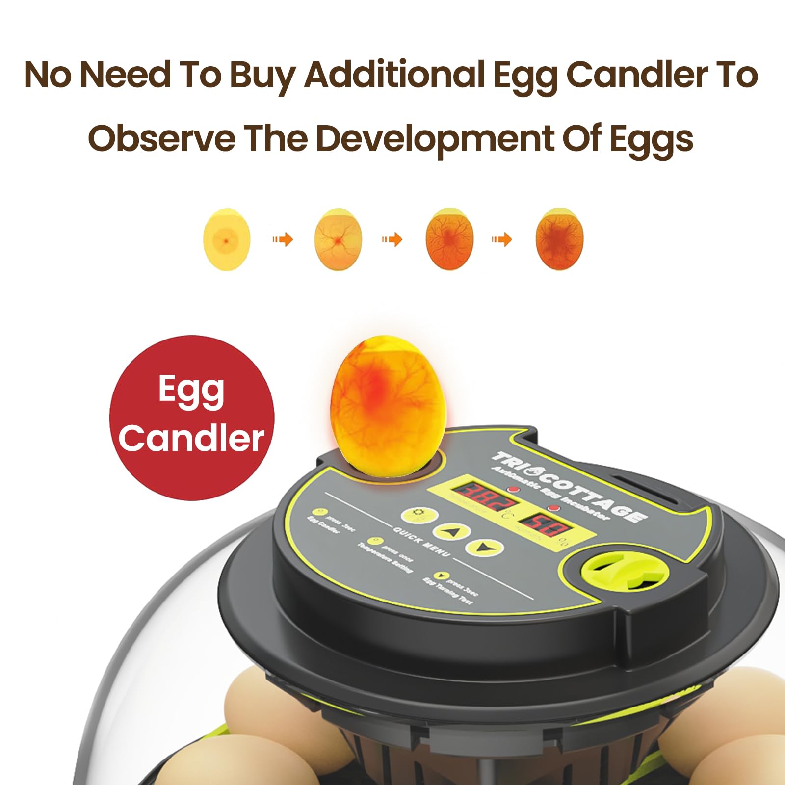 Incubators for Hatching Eggs 12 Lab Egg Incubator with Automatic Egg  Turning and Humidity Control,Egg Candler,Auto Water Replenishment,for  Chicken Eggs and Quail Egg M12H : Amazon.ca: Industrial & Scientific