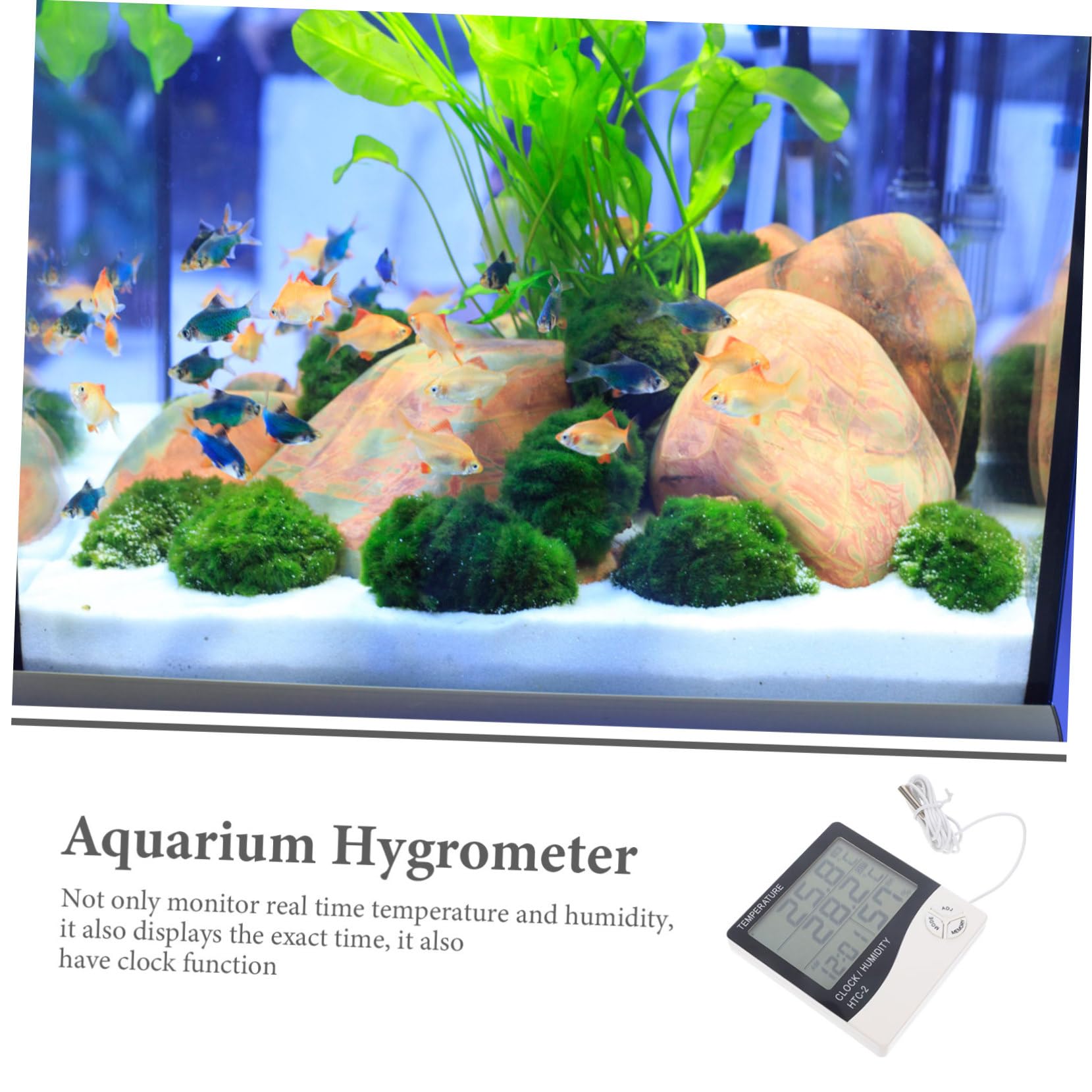 BESPORTBLE 3piezas Termómetro Digital De Acuario Sensor De Temperatura Pantalla Lcd Para Peceras y Terrarios Precisión Medición De Temperatura Para Cuidado De Peces y Reptiles