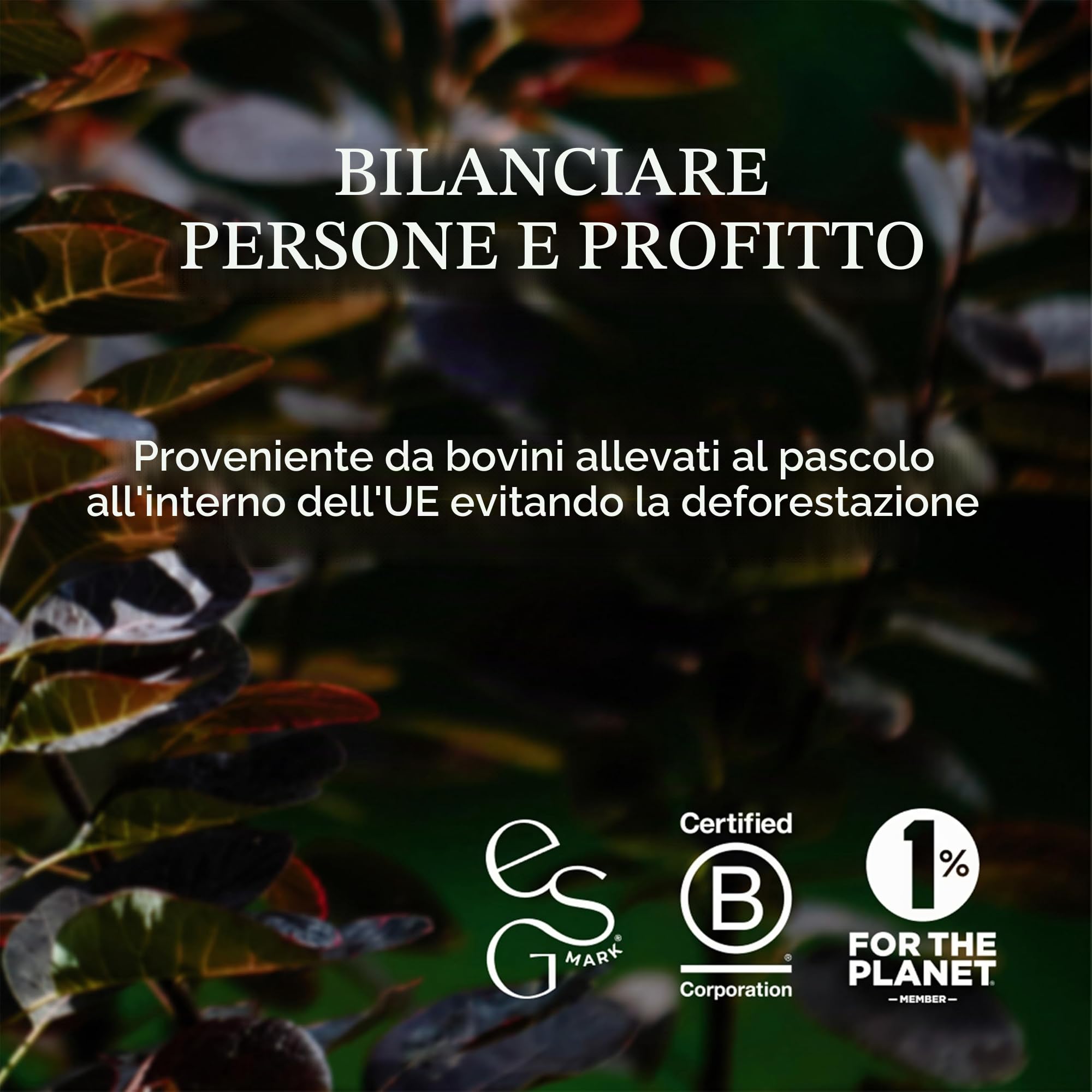 Ancient + Brave True Collagen 15 Bustine x 5g - Collagene Idrolizzato al 100% (Tipo 1) da Bovini Grass Fed - Peptidi di Collagene in Polvere ad Alto Contenuto Proteico - Certificato Halal e Koscher