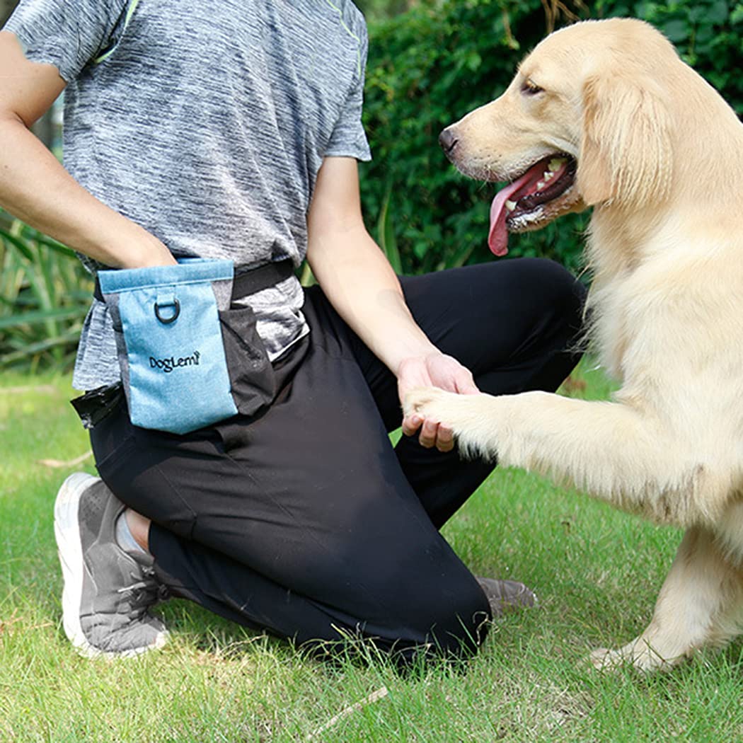 Generisch Hunde-Trainingsbeutel aus Nylon, spritzgeschützte Snacktasche, Leckerli-Beutel für Outdoor, Hüfttasche für Hundesnacks, Handy, Powerbank, Wasserflasche und Schlüssel, mit verstellbarem Gurt