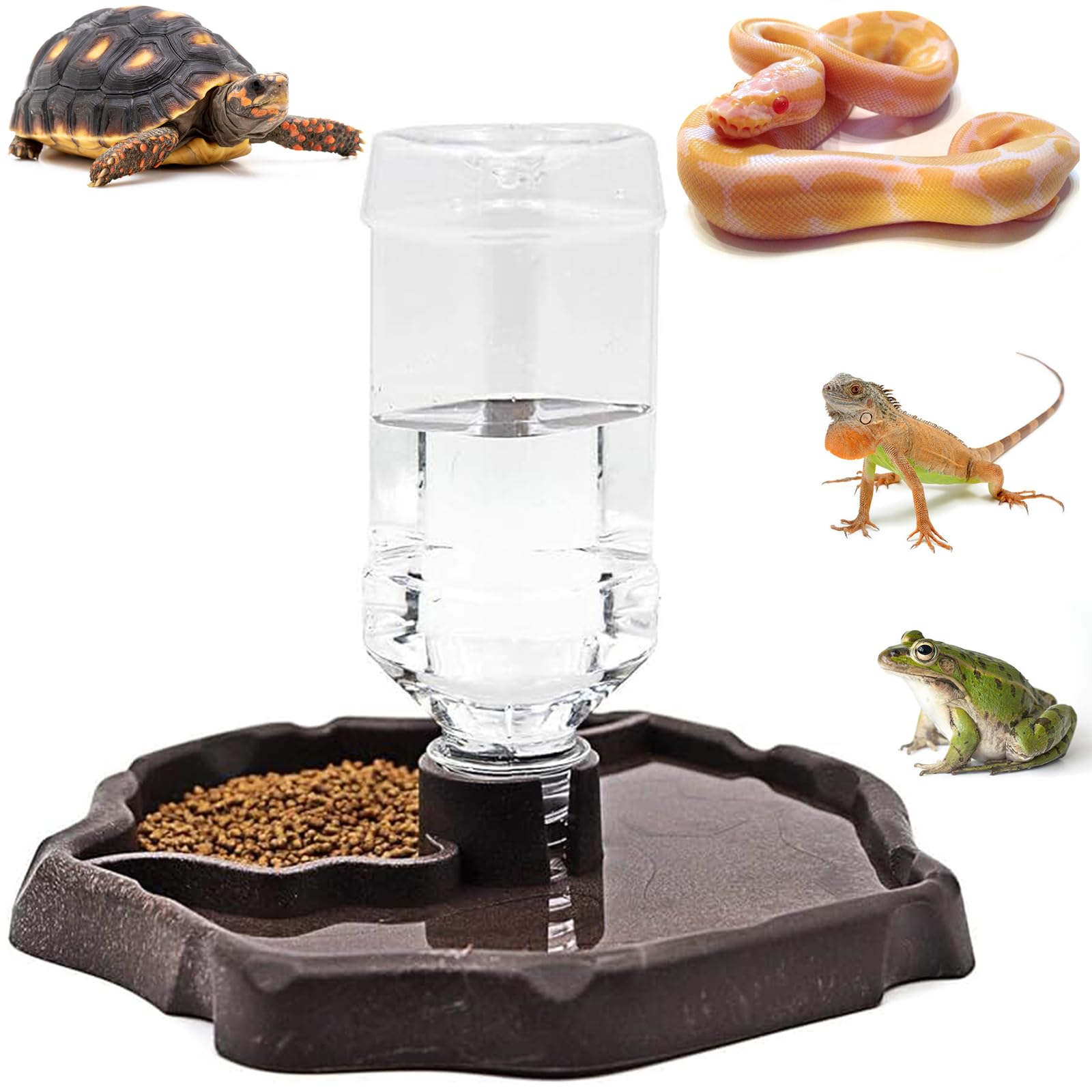 Distributeur d'eau pour Reptile, Mangeoire Gamelle Tortue Terrestre, Abreuvoir Tortue Terrestre 2 en 1, Distributeur d'eau Portable avec Plat en Plastique Abreuvoir pourReptile Tortues Gecko