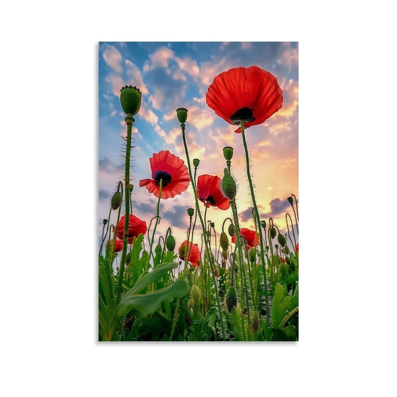 Hueryryhy Unframe-Style 24X36inch Vibrant Red Poppies Framing Golden Hour Cloudscape 01 Poster Wall Art Canvas Vintage Aesthetic Painting Decor For Rooms 24X36inch Unframe-Style