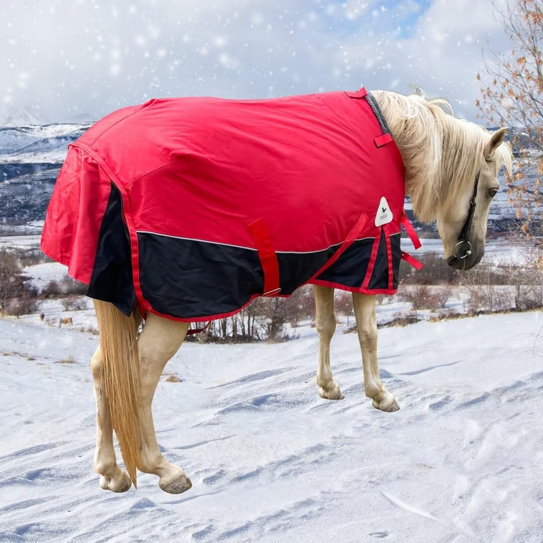 Manta de caballo pequeño, pony, potro, miniatura, 1600 denier, manta para el cuidado del caballo, manta impermeable y transpirable (relleno de 220 g)