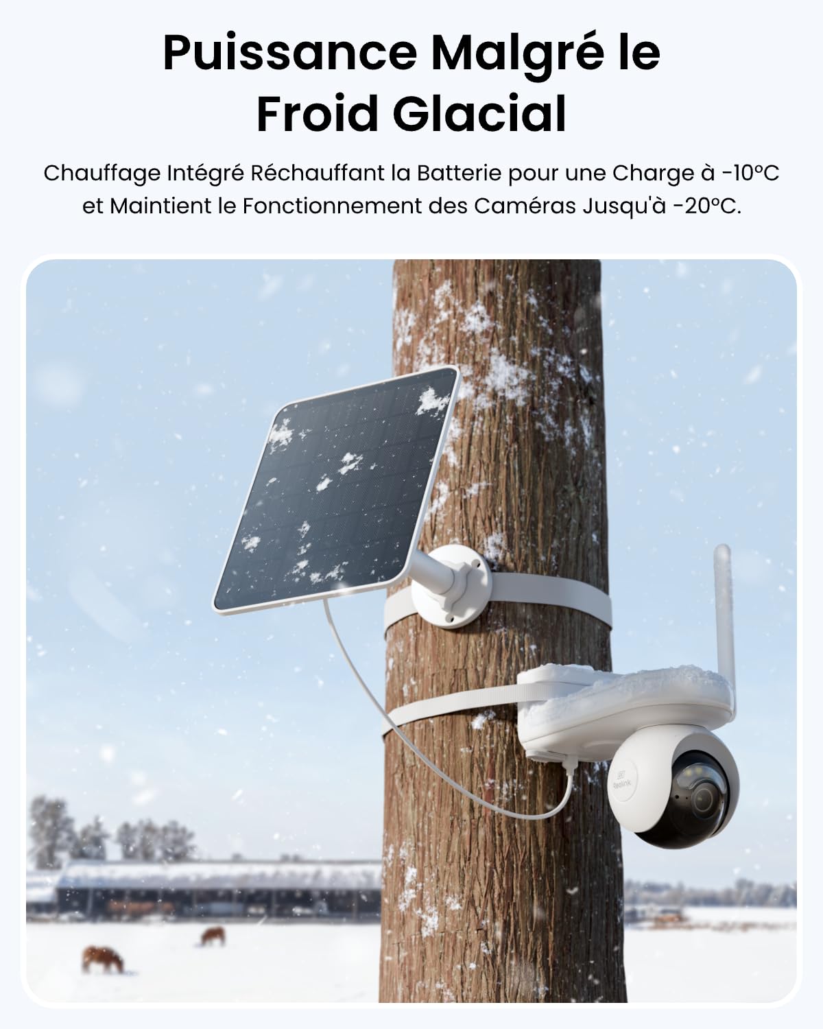 Reolink Panneau Solaire 2S avec Batterie 5900mAh, Chargeur Solaire 6W pour Caméras à Batterie, Double Alimentation, Charge par Temps Froid, Solution d'alimentation Extérieure Étanche IP67