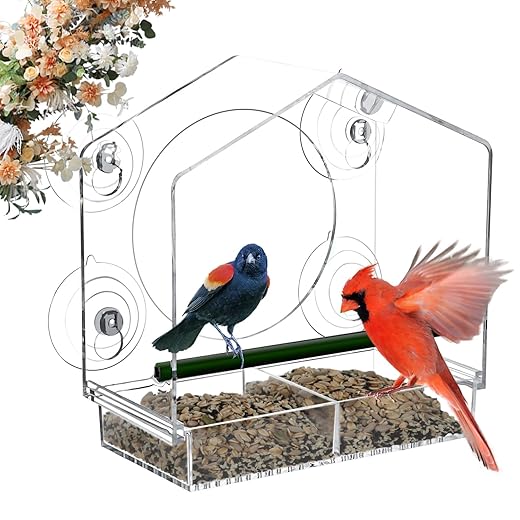 Window Bird Feeder - 4 Strong 2.36" Suction Cups - Clear Acrylic Birdhouse for Outdoors, Removable Tray, Birdwatching Gift for Parents