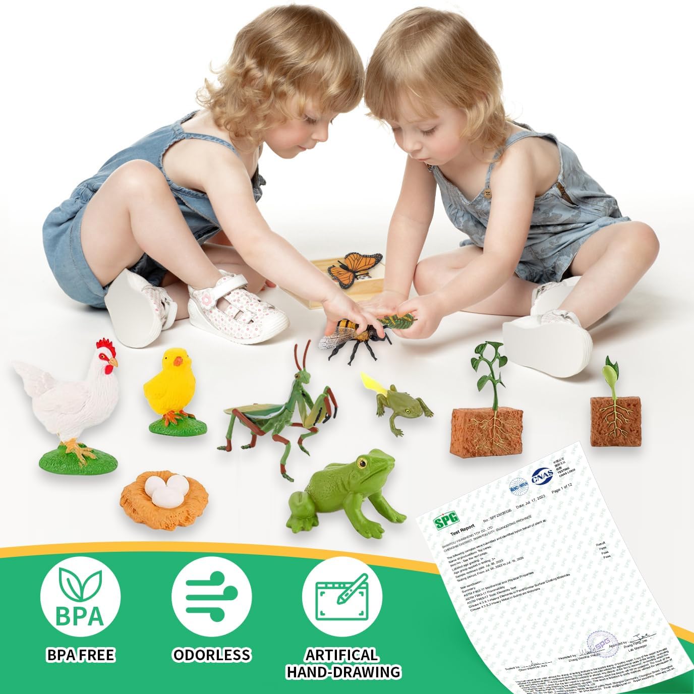 6 Set Montessori Life Cycle Learning Toys - Early Education Activities for Kids