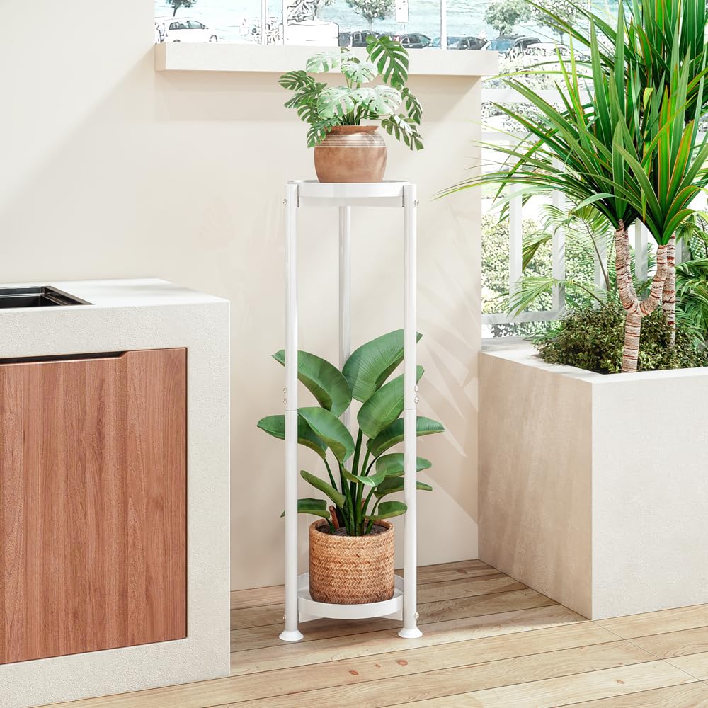 View 5