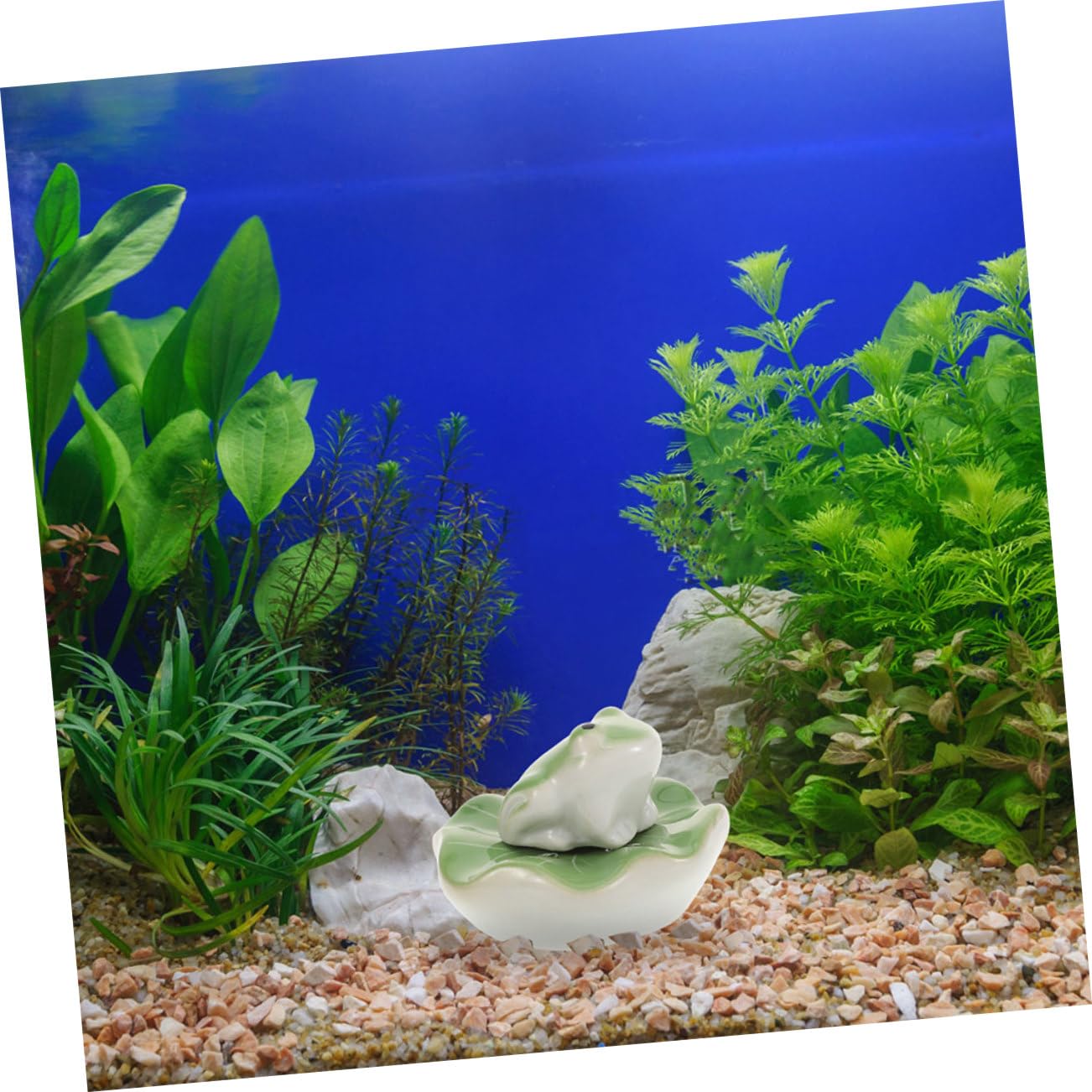 SUPVOX 2sets Sculture Galleggianti in Per Acquari Decorazioni Per Acquari Decorazioni Per Ufficio