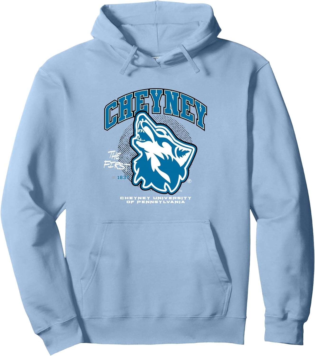 The Yard Essentials - Cheyney University - HBCU Pullover Hoodie