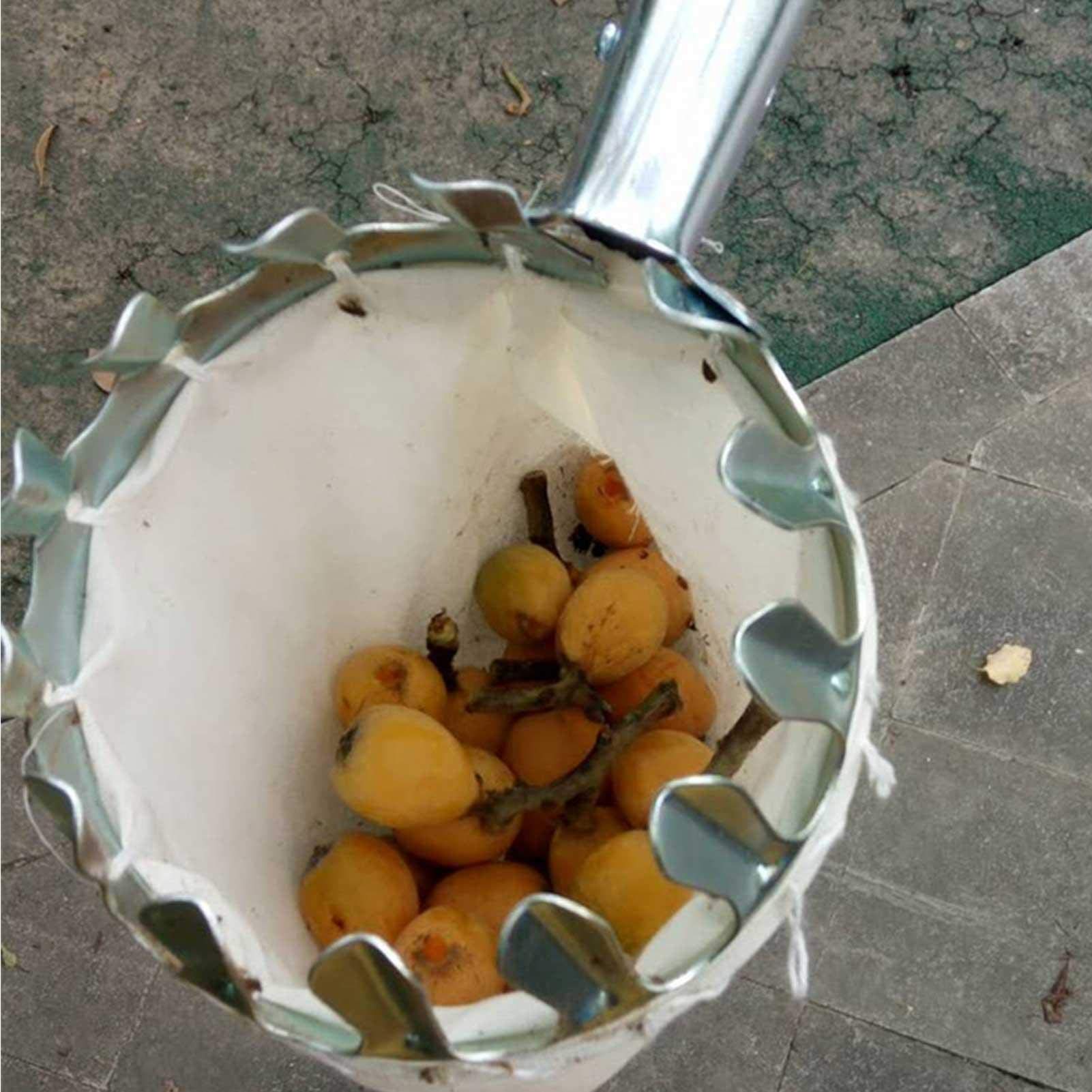 LekLai Raccoglifrutta Comfort Raccoglimele in Acciaio Pratico con Asta Telescopica Comodo Manico Antiscivolo Compreso Di Asta e Borsa