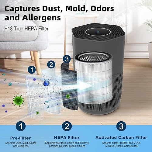 Miniatura 3 de Sciaire Essential Air Purifiers  Los iones limpian activamente desodorizan el aire  Elimina el 99.9% de los virus de bacterias  Filtro purificador
