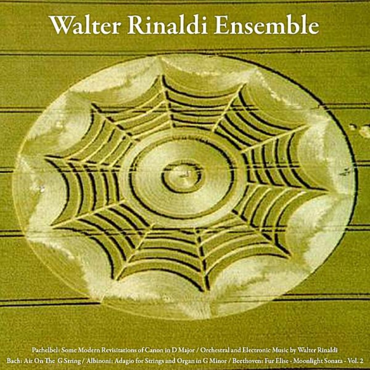 Walter Rinaldi Ensemble