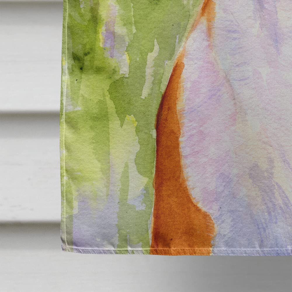Bandiera Da Giardino Oyster Double Sided: Resistente E Colorata Per Il Tuo Esterno