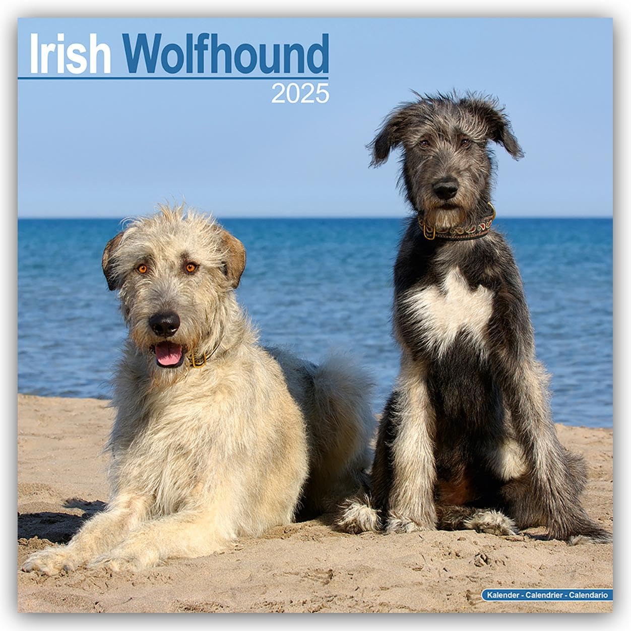 Irish Wolfhound 2025 Square Wall Calendar | Dog Breed Calendar