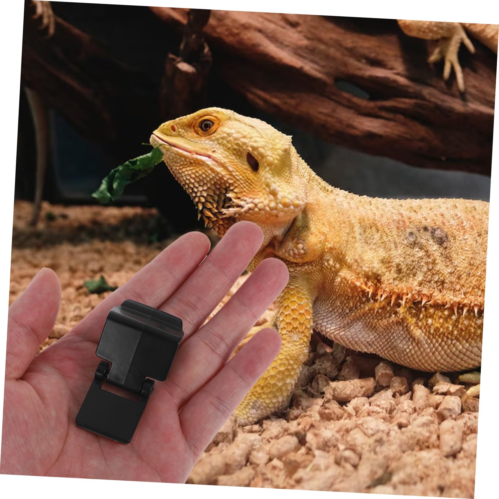 Clips de Verrouillage Faciles à Utiliser Lot de 6 en Abs Design Multifonctionnel pour Sécuriser Enclos pour Terrarium à Reptiles et Amphibiens