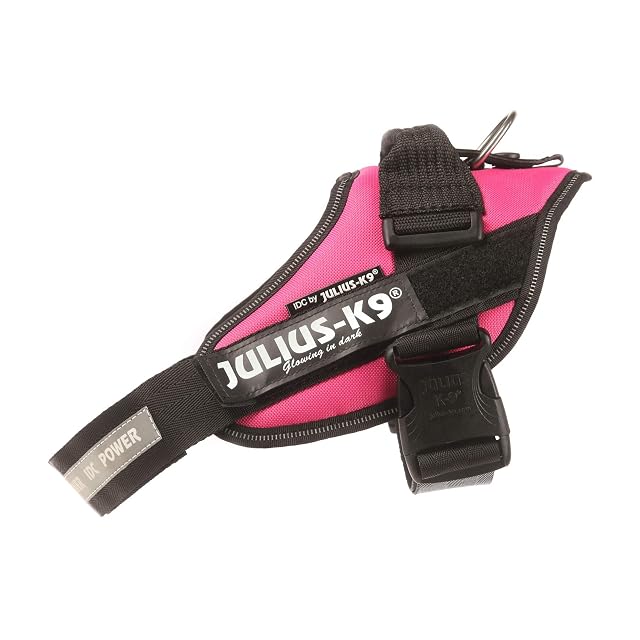 Foto 2 de 6 de JULIUS-K9 16IDC Power Harness