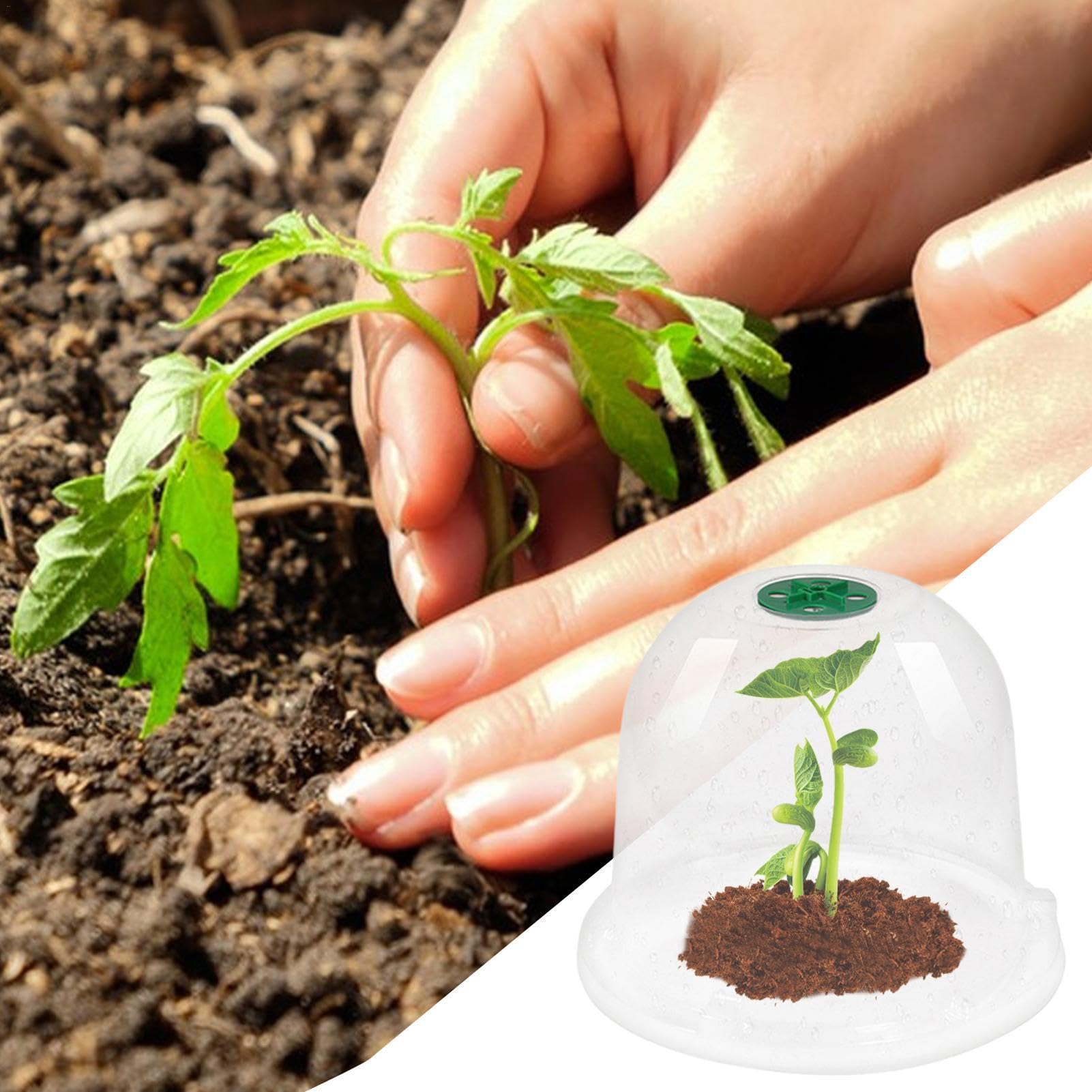 10 Stück Gartenglocken, Abdeckung für Glocke, Kuppel, transparent, Glocke, Garten, Gemüsegarten, Glocke, Salat, Atemschutz