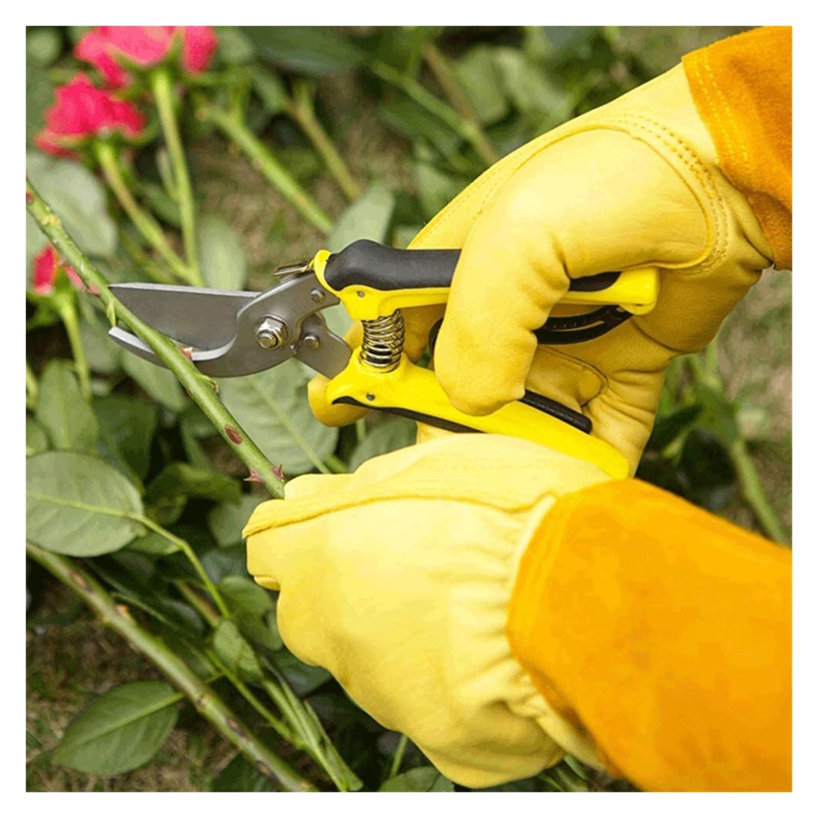 Gants en cuir for la taille des rosiers, for hommes et femmes, jaunes, tailles S/M/L, cadeau de jardinage(Small)
