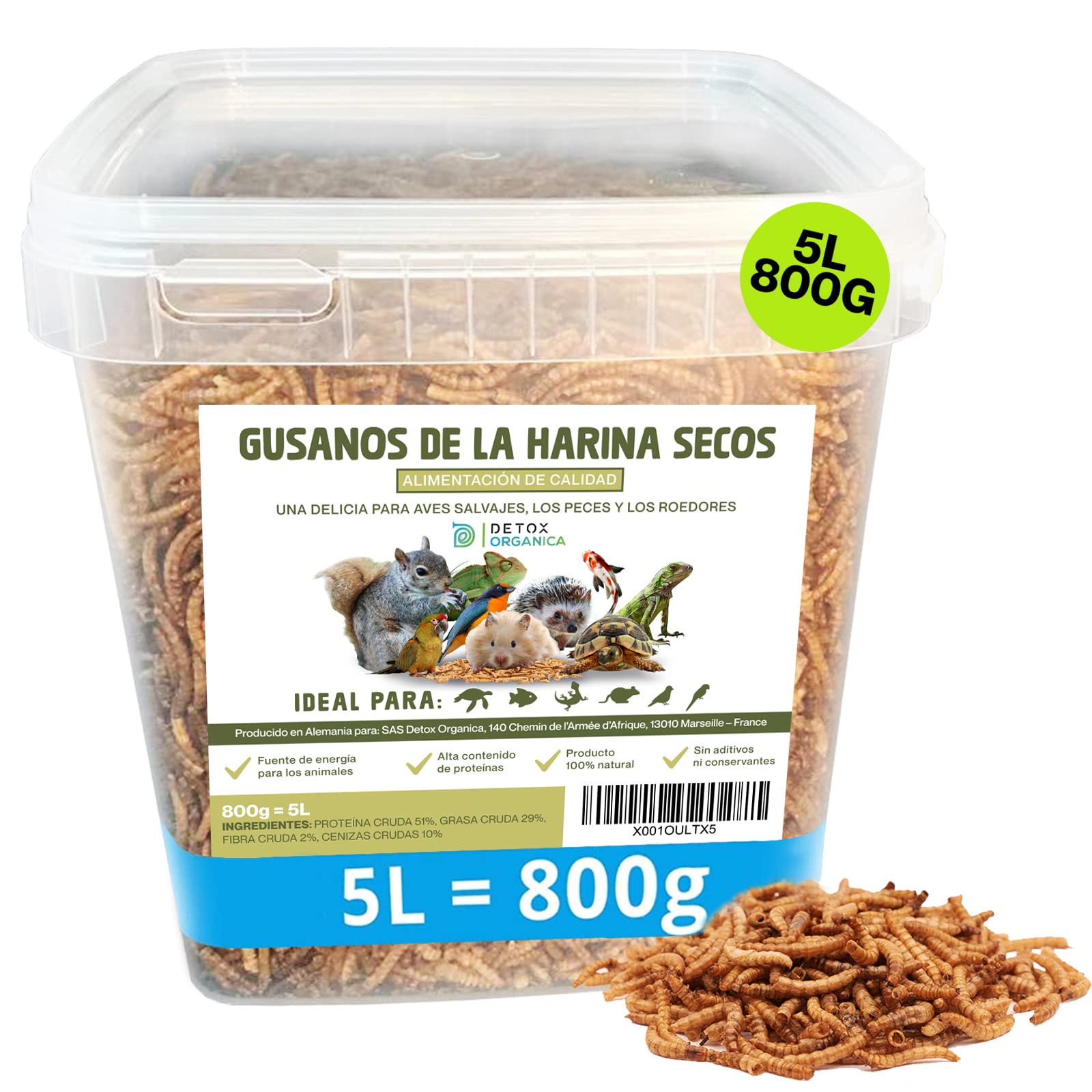 Gusanos de la Harina 800g – Gusanos de la Harina Deshidratados 5L – Gusanos para pájaros disecados – 100% Natural