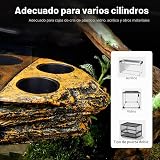 Ver la foto 6