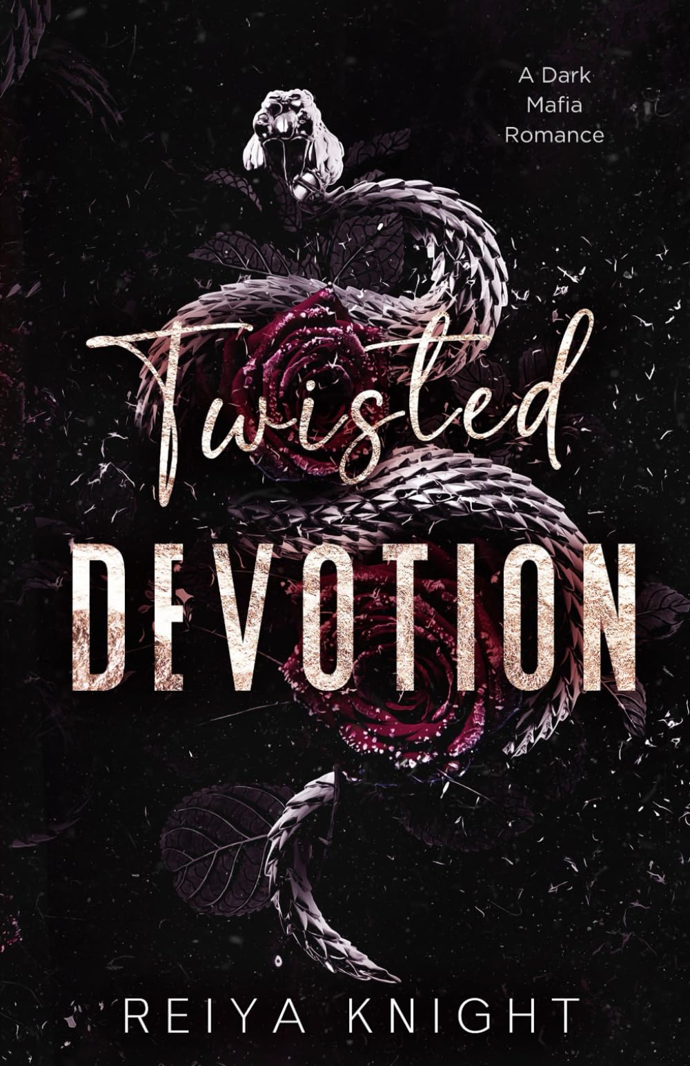 Twisted Devotion: A Dark Mafia Romance