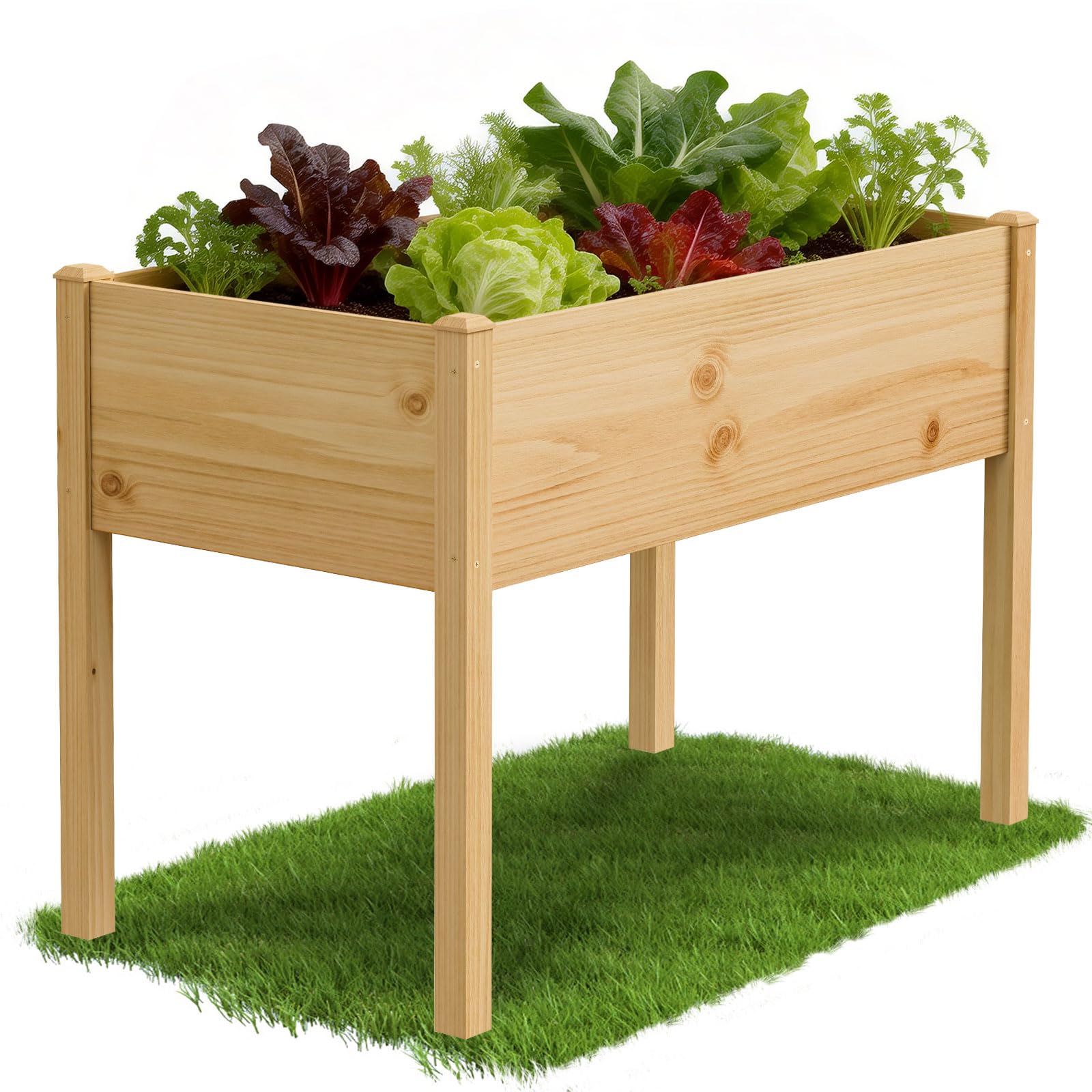 Hochbeet 5
