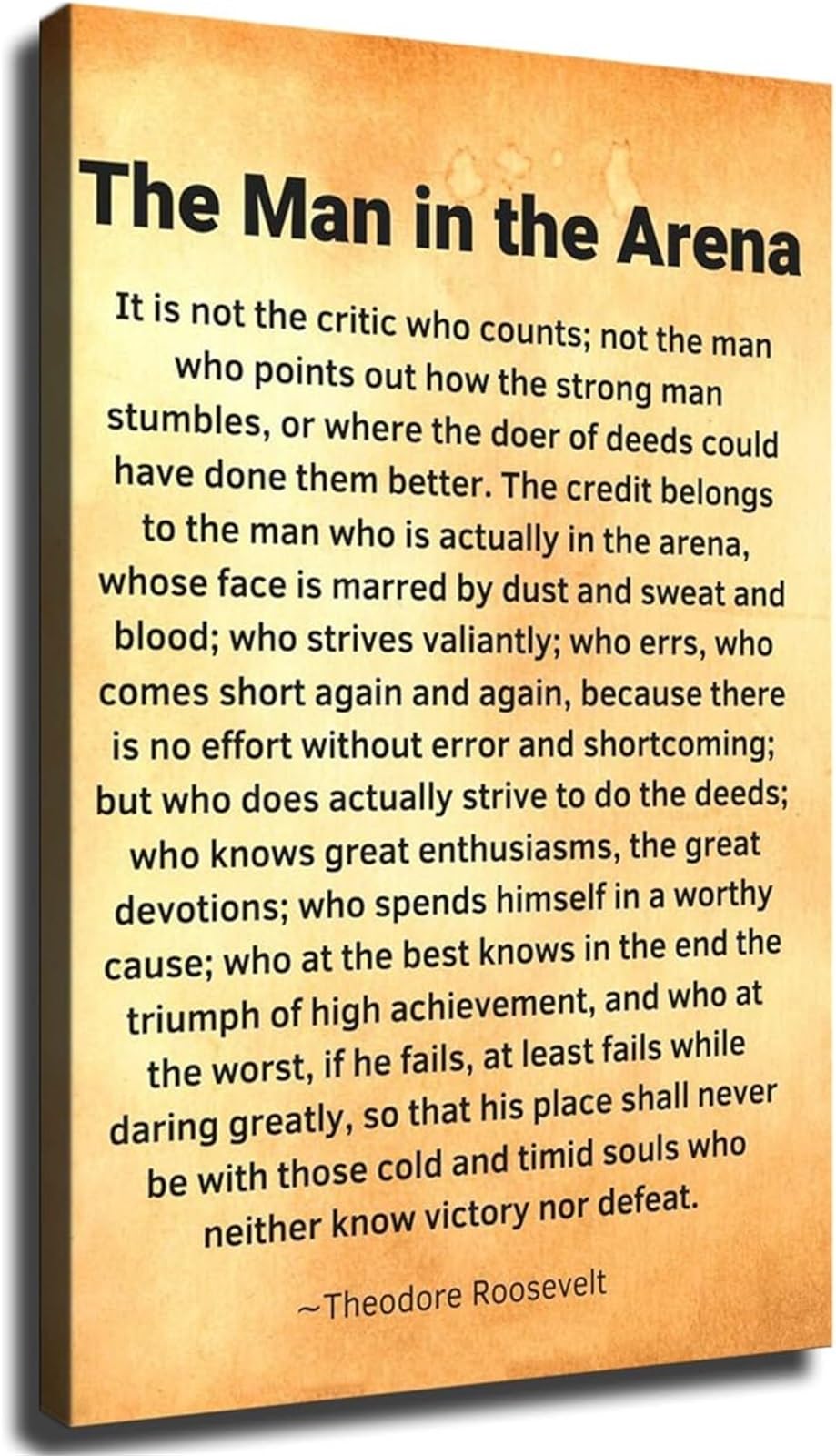 XGINERFEX The Man in the Arena Courage Quote Theodore Roosevelt Motivational Wall-Art Collection for Office Home Living Room(Unframed,16x24inch(40x60cm))