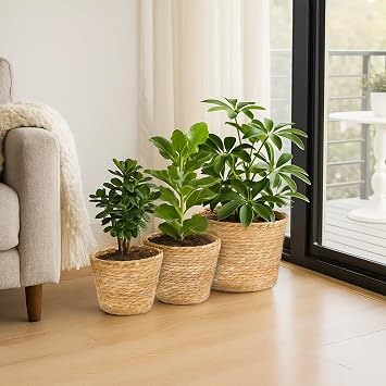 3PCS Wicker Plant Pots Seagrass Covers for Indoor Plants Brow | Decorative Planter Holders, Natural Texture, Elegant Flowerpot Display for Living Rooms, Balconies, Patios and Garden Areas
