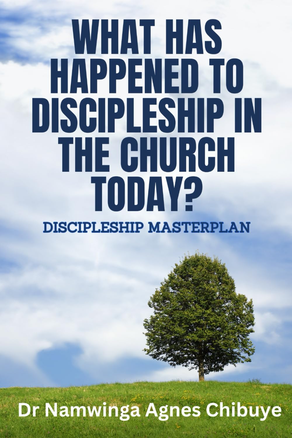 what has happened to discipleship in the church today: Discipleship masterplan