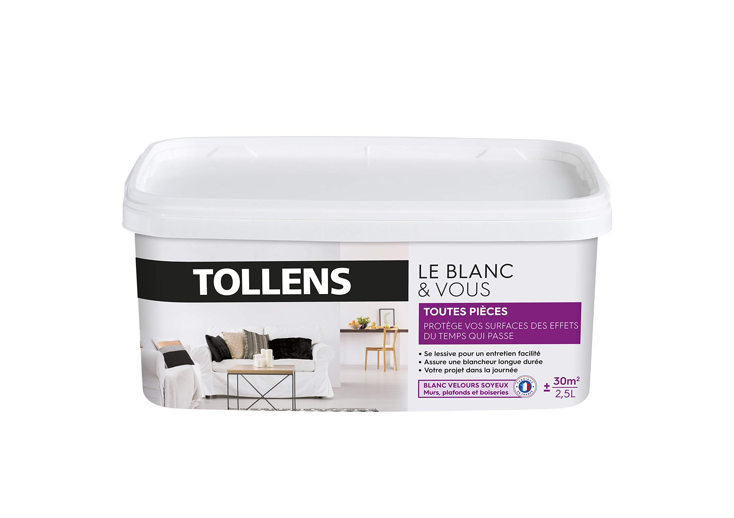 Peinture Blanche Tollens