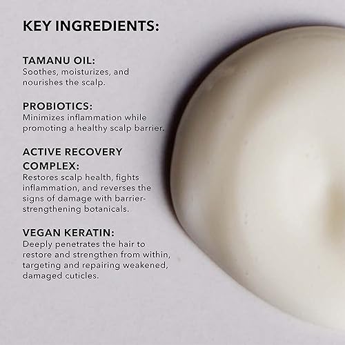 Miniatura 6 de SUNDAY II SUNDAY Acondicionador reabastecedor exclusivo I para cabello seco dañado, restaura el cuero cabelludo y disminuye el daño y la rotura del