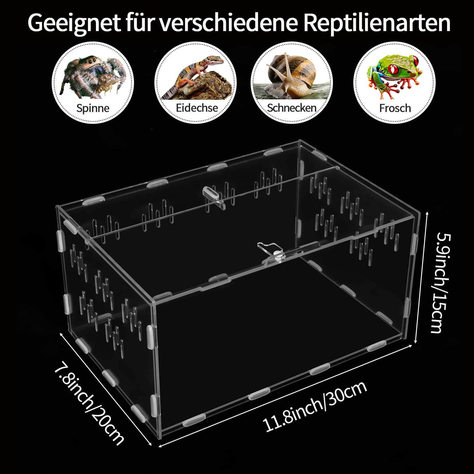 Terrario In Vetro Impilabile Professionale Per Piccoli Rettili - Cina Nano Glass Terrarium E Paludarium Terrarium Prezzo