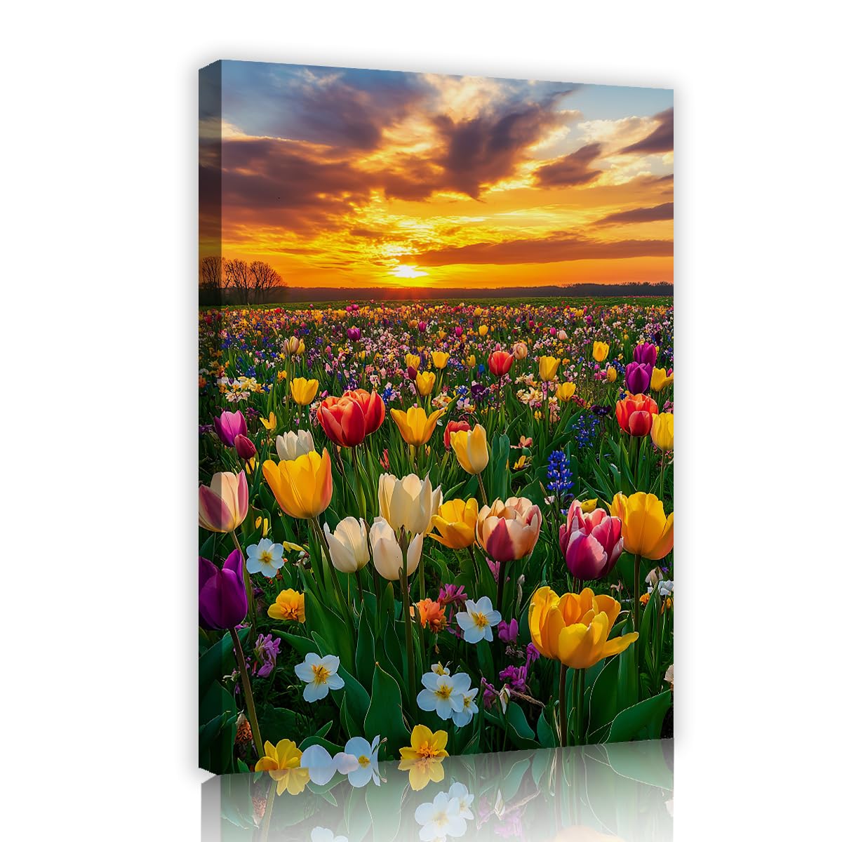 TOANGWALL Beautiful Tulip Flower Field Framed Canvas Artwork Colorful Nature Meadow Sunset Sky Picture Stretched Printed Poster for Living Room Dining Room Decor 75x115cm