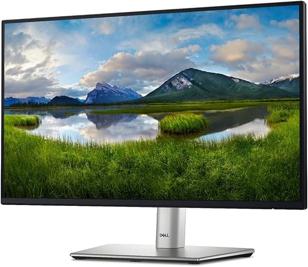 Dell 24 Monitor - P2422H - Full HD 1080p, IPS Technology, ComfortView Plus Technology