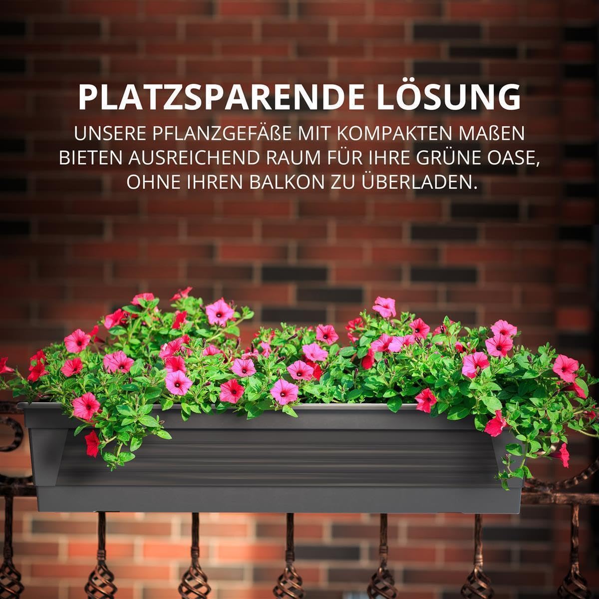 Plastard Blumenkasten 3er Set 60 cm Anthrazit, Pflanzkasten, Balkonkasten | Witterungs-, UV- & frostbeständig, Deko Pflanztopf ideal für Garten & Balkon, Robuster & vielseitiger Pflanzkübel 14 Liter