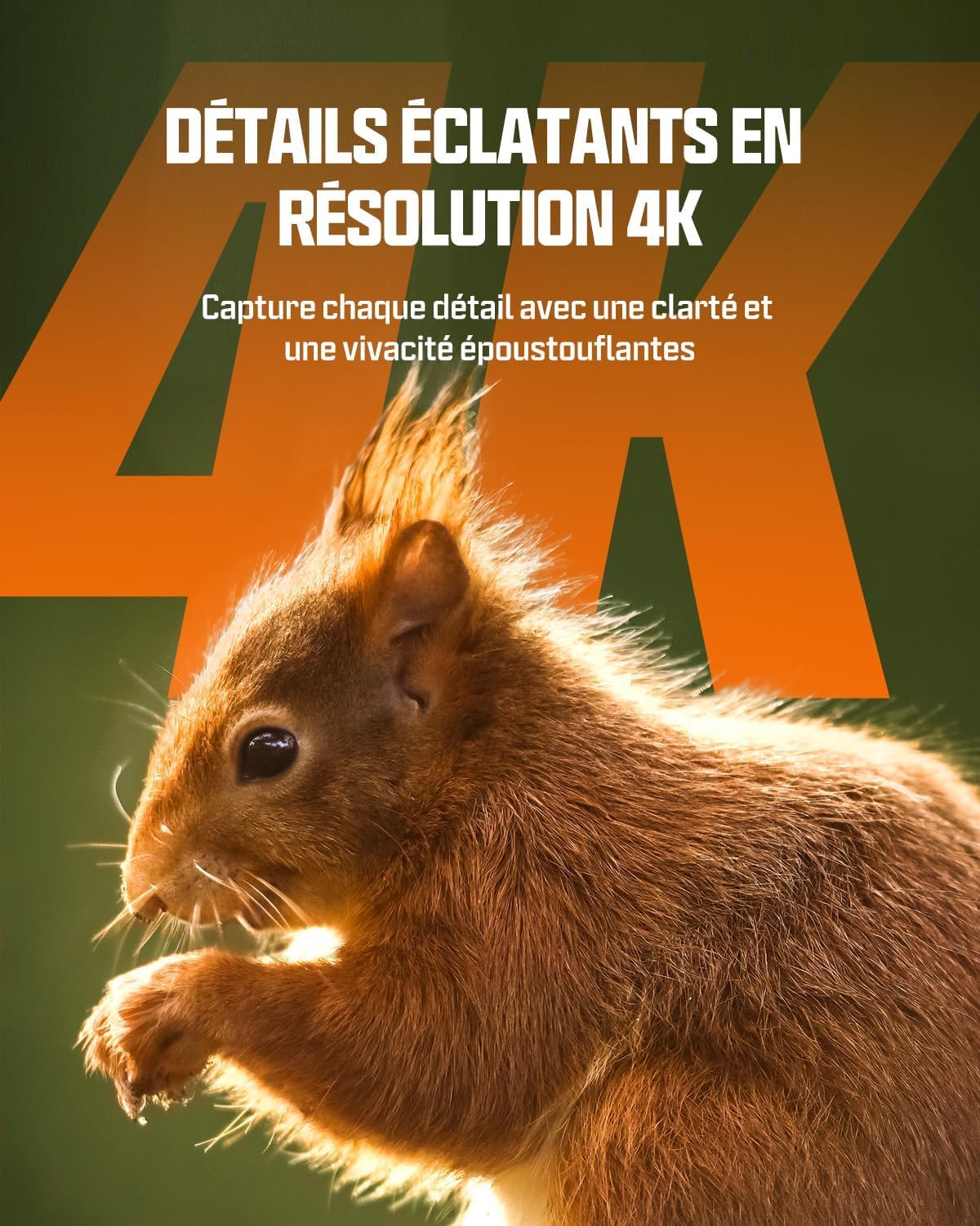 CEYOMUR Solaire Camera de Chasse, 4K 64MP 30fps WiFi 6 Caméra de Chasse | Carte SD 64GB, 0,1s Activée par Mouvement, IP66 Étanche Vision Nocturne, 5200mAh Batterie Rechargeable