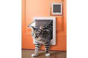 Ultimate Cat Door: Unleash Your Cat's Curiosity with Our Interior Door Solution