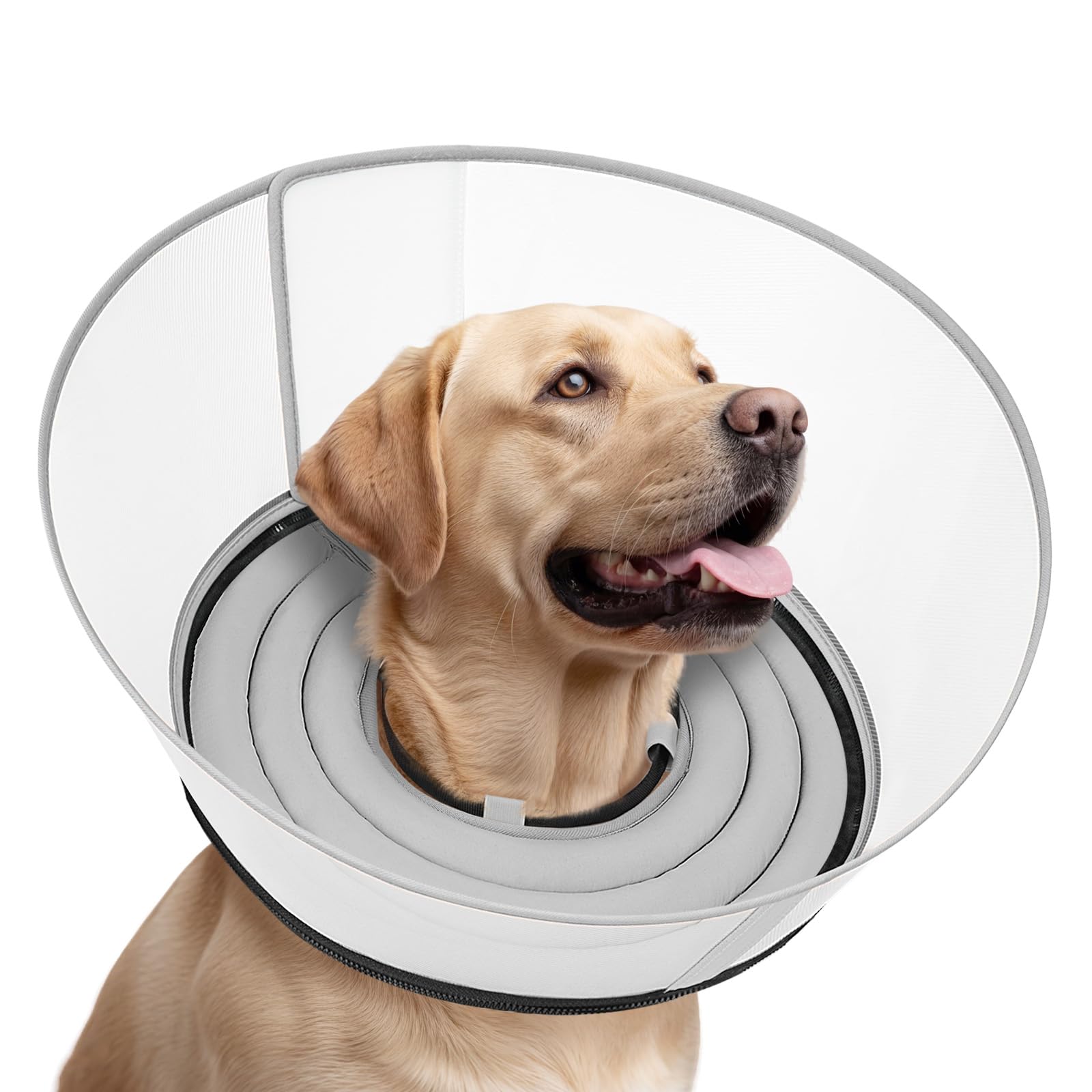 Photo 1 of Toptakeit Raised Dog Cone Collar Alternative After Surgery, Soft Dog Cone for Small Medium Large Breeds to Stop Licking, Pet Neck Donut Collar After Surgery