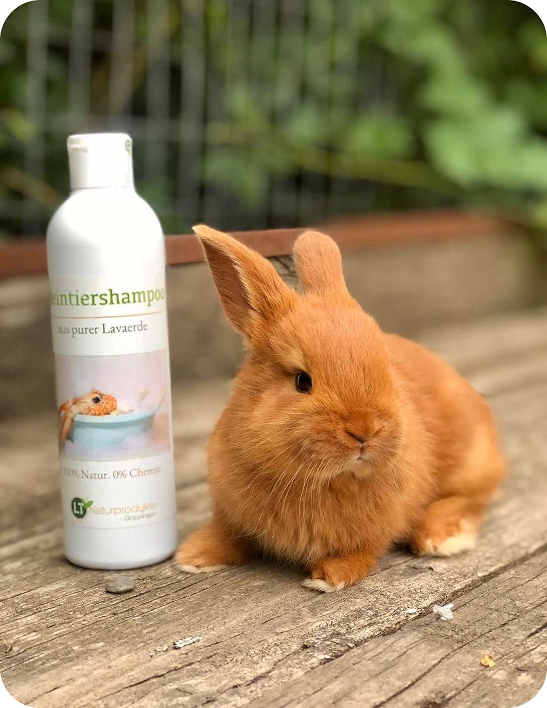 Bio Shampooing Naturel pour Lapins à base de ghassoul marocain | Pure et Hypoallergénique | Soutien le Soin pour Peau Irritée | 250ml