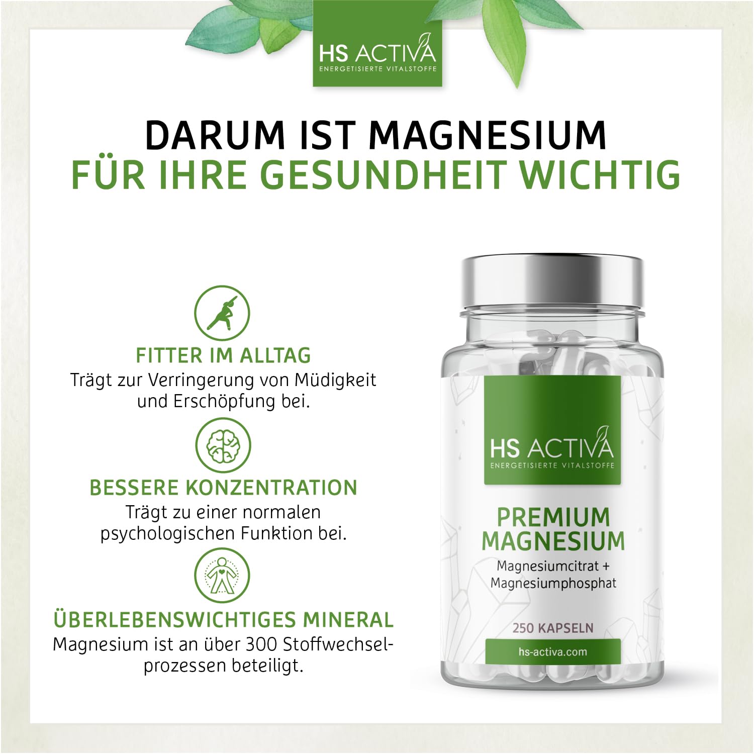 HS Activa Premium Magnesium 250 Kapseln I Magnesiumcitrat & Magnesiumohosphoricum I Keine Zusatzstoffe | Vegan & Made in Germany