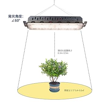 植物ライト 楽天市場】【3年保証】BARREL公式 植物育成LEDライト