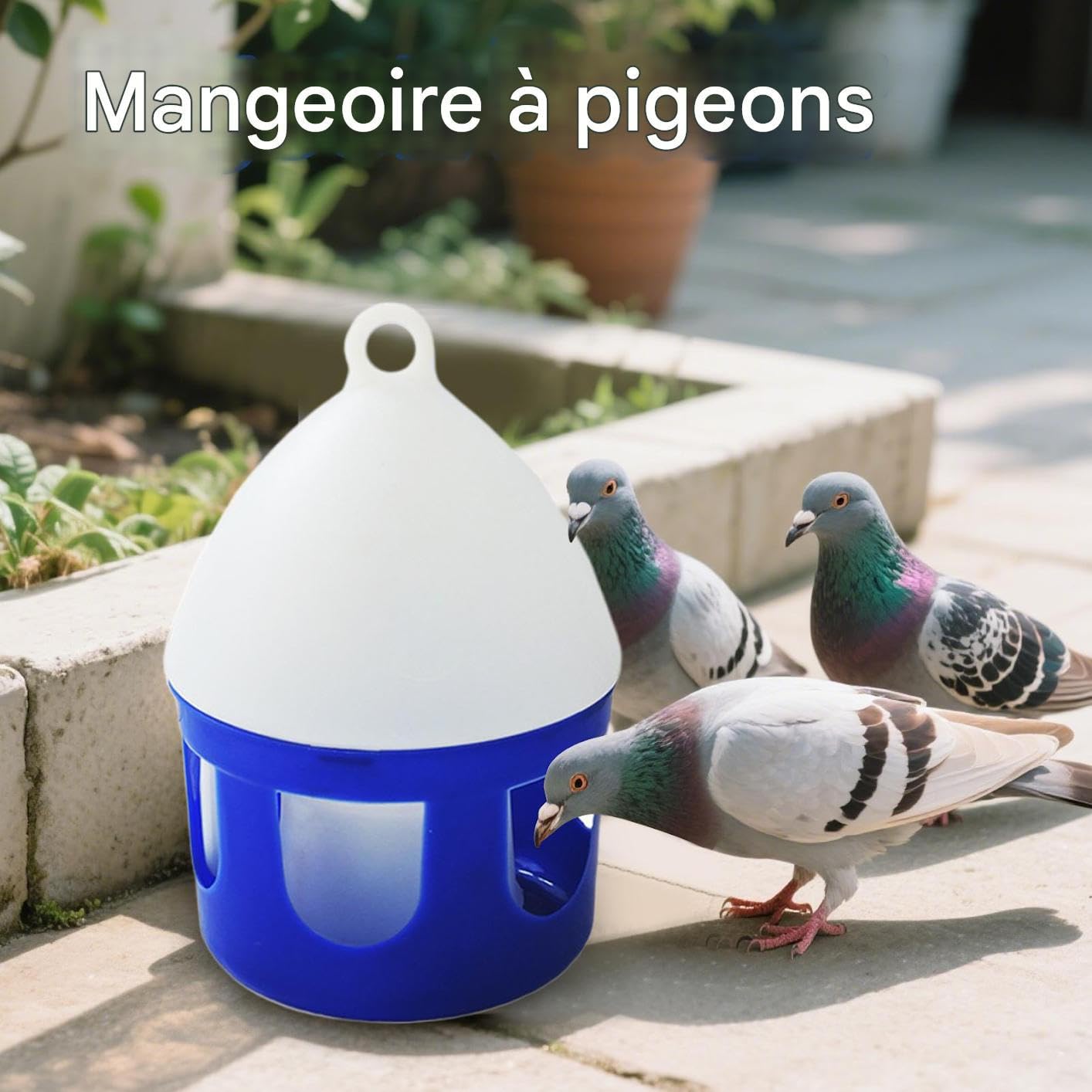 Abreuvoir pour Pigeons | Fontaine à Eau pour Oiseaux 2 litres - Antifuite Amovible pour Élevage Volailles Extérieur Cage Oiseaux Canards Caille