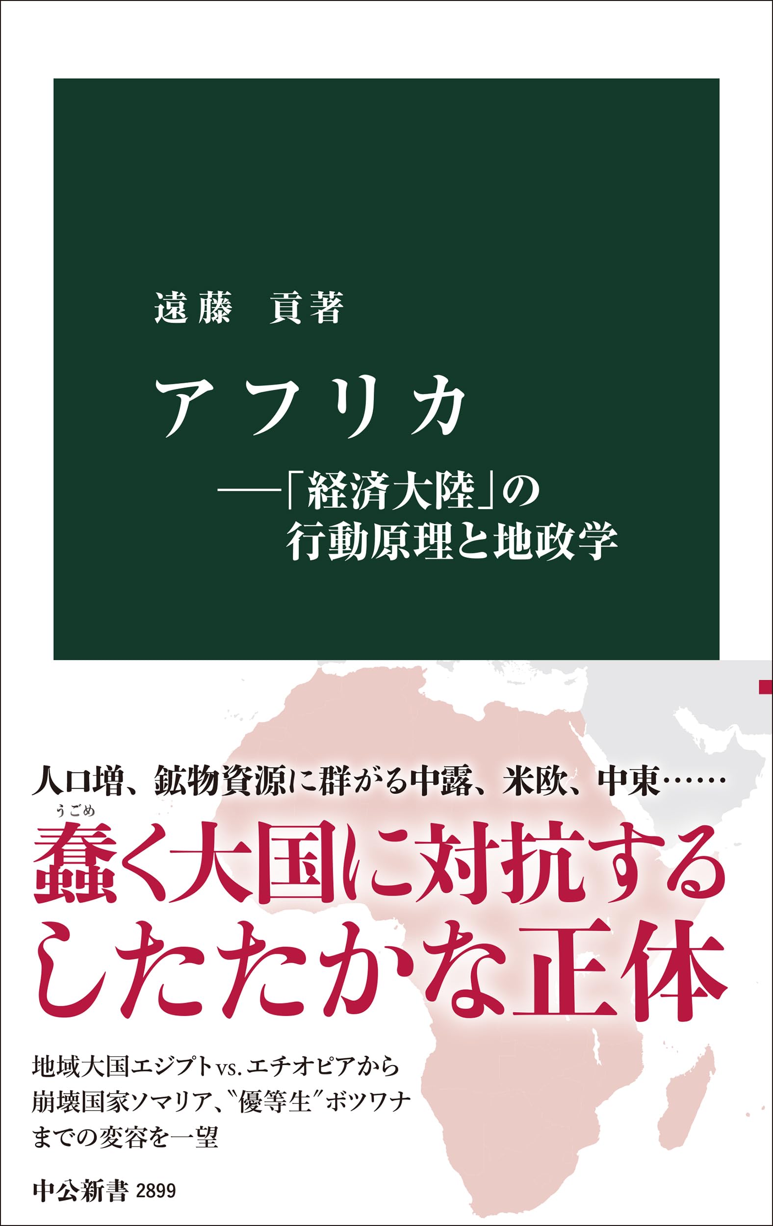 アフリカ―「経済大陸」の行動原理と地政学 (中公新書 2899) | 遠藤 貢