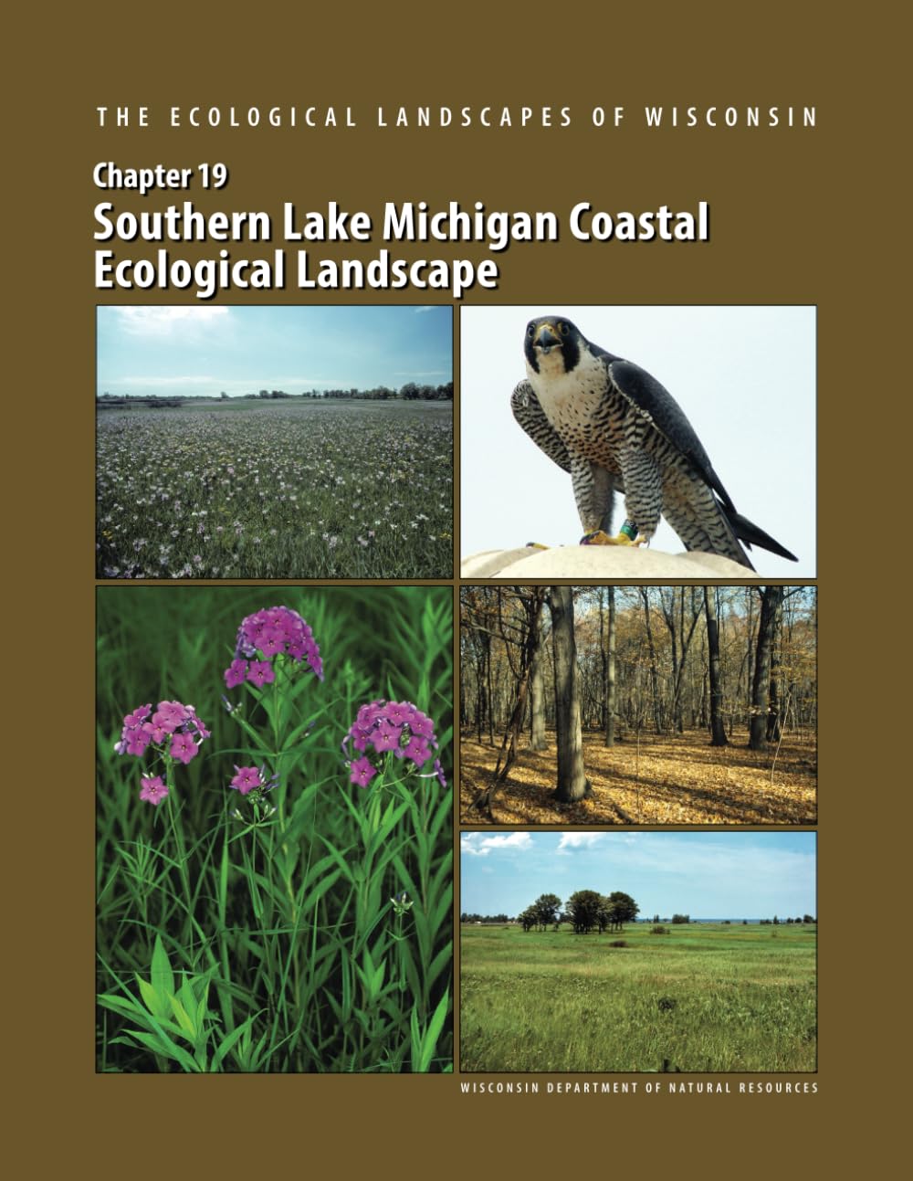 The Ecological Landscapes of Wisconsin: Southern Lake Michigan Coastal Ecological Landscape (The Ecological Landscapes of Wisconsin: An Assessment of ... a Guide to Planning Sustainable Management)      Paperback – December 31, 2015