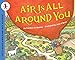 Air Is All Around You (Let's-Read-and-Find-Out Science 1)