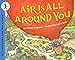 Air Is All Around You (Let's-Read-and-Find-Out Science 1)