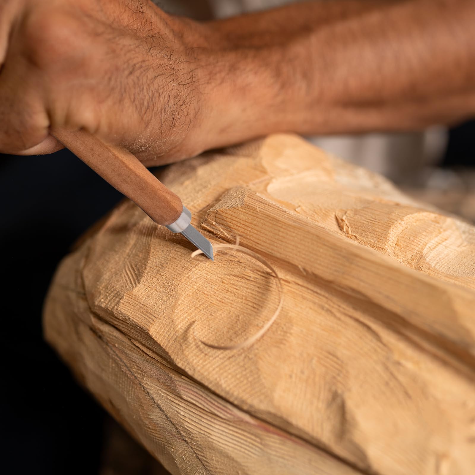 FRUHLING Set di 12 coltelli da intaglio in legno, utensili per intagliare il legno, utensili in acciaio SK2, per legno, frutta, verdura, intaglio, fai da te