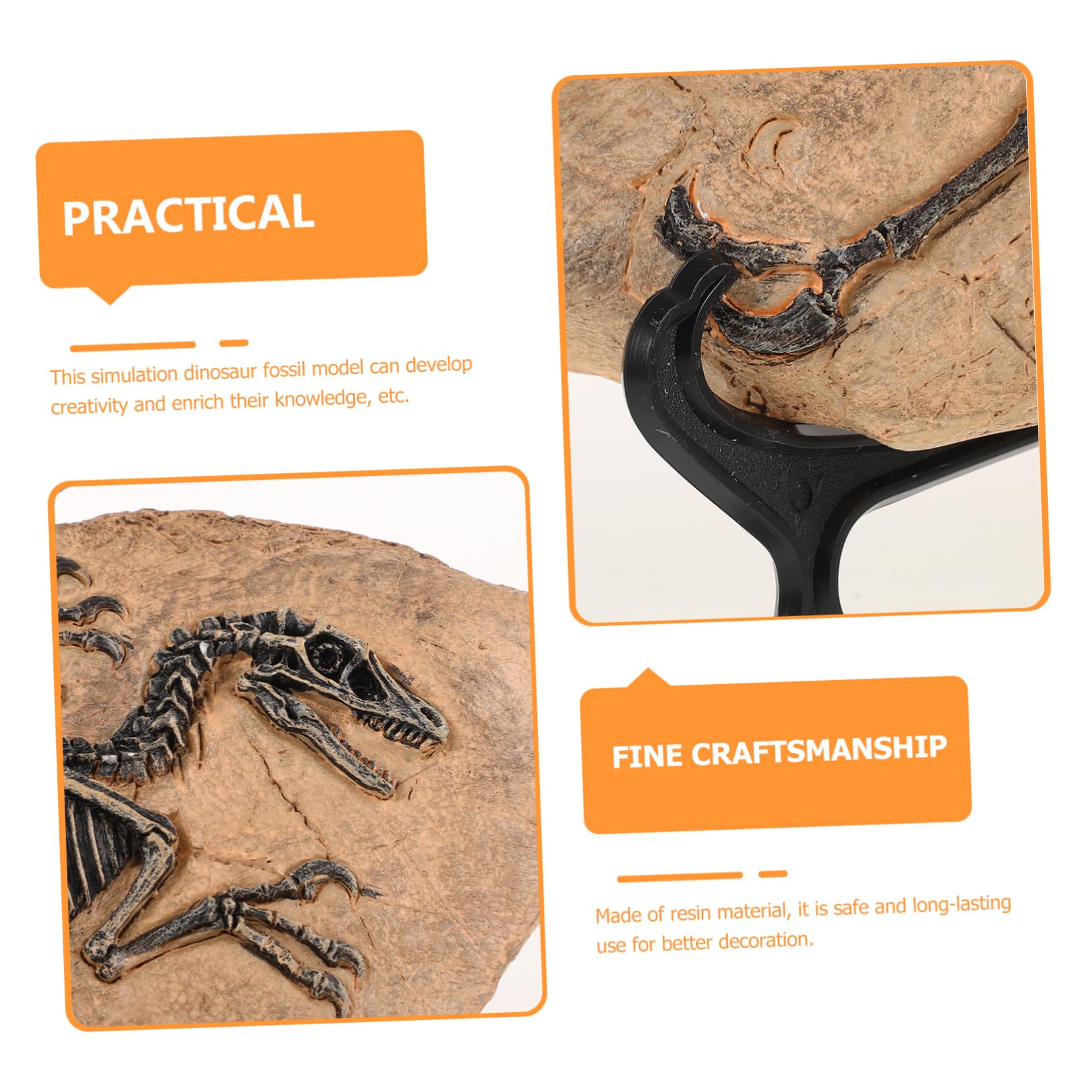 Set Di Fossili Di Dinosauro Ornamento Di Fossili Di Dinosauro Giocattolo Da Tavolo Per Ragazzo Ragazza Ragazzi